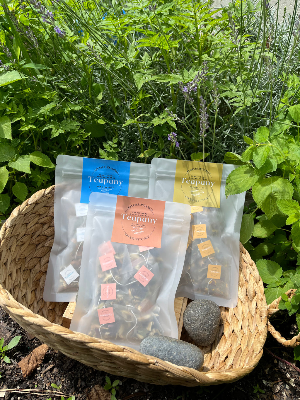 Teapany Bundle (Sweet Harmony, Heart Harmony, Inner Bloom)-Save 15%