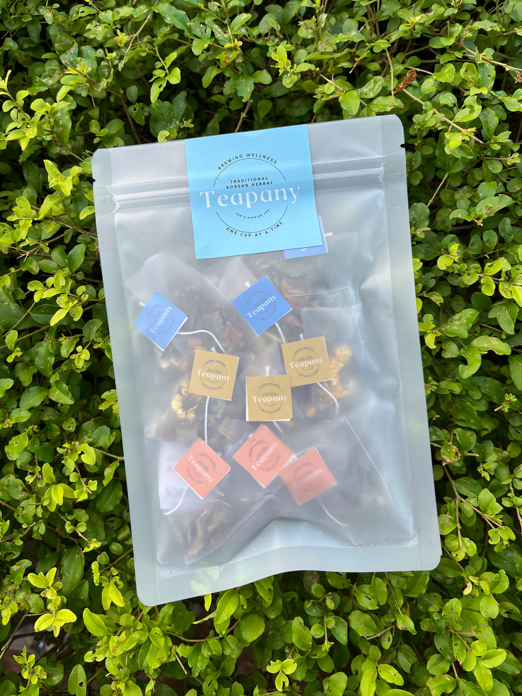 Teapany Trio (Sweet Harmony, Heart Harmony, & Inner Bloom)