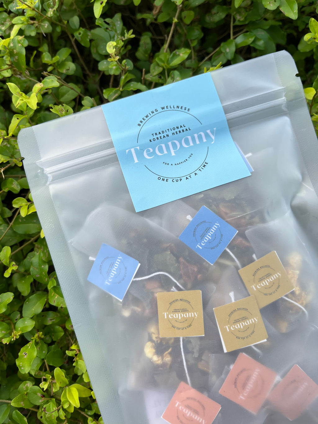 Teapany Trio (Sweet Harmony, Heart Harmony, & Inner Bloom)