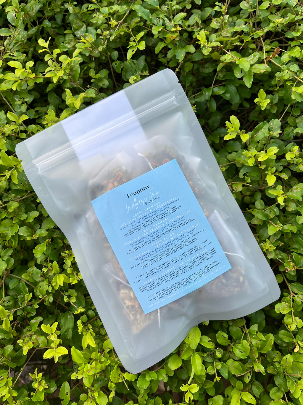 Teapany Trio (Sweet Harmony, Heart Harmony, & Inner Bloom)